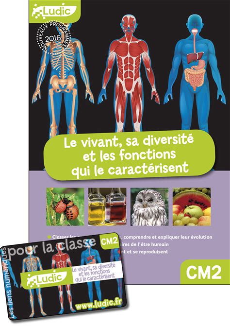 LE VIVANT SA DIVERSITE ET LES FONCTIONS QUI LE CARACTERISENT CM2 CLE