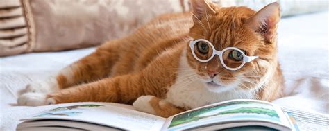 НАУКА - НЕ СКУКА! | Вы до сих пор думаете, что наука - это скучная или ...