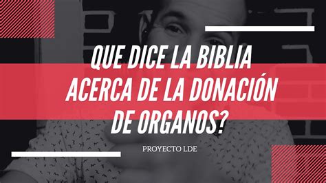 Que Dice La Biblia Sobre La Donación De órganos Youtube