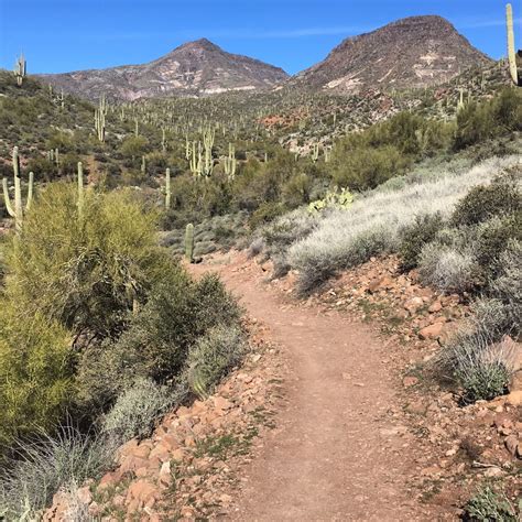 Best Hikes In Phoenix