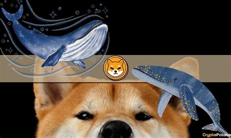 Why Are SHIB Whales Accumulating Trillions Of Shiba Inu Tokens Now