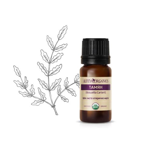 Био Масло Тамян 10 мл | Boswellia Carterii (Frankincense) Oil | Alteya ...