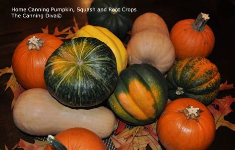 Home Canning Pumpkin Squash And Root Crops The Canning Diva