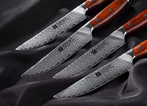 XINZUO Damascus Steel 4Pcs Steak Knife Set 5 Inch Premium Dinner Knife