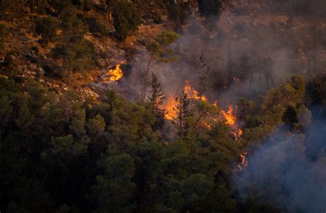 Israel must get better at fighting fires - editorial - The Jerusalem Post