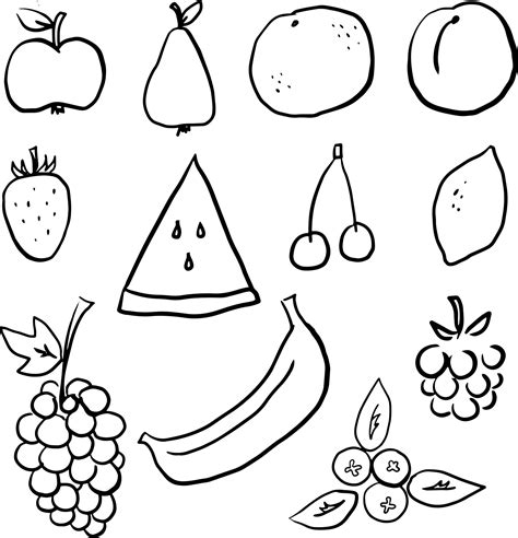 Fruits and berries black and white line art hand drawn clip art 9878554 Vector Art at Vecteezy