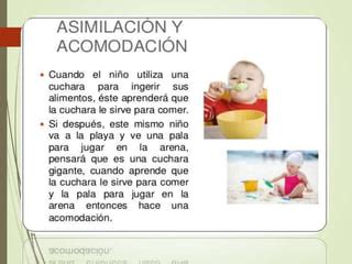 PENSAMIENTO JEAN PIAGET Autoguardado Ppt