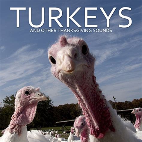 Wild Turkey Gobble Sound Effects by Dr. Sound Effects on Amazon Music - Amazon.com