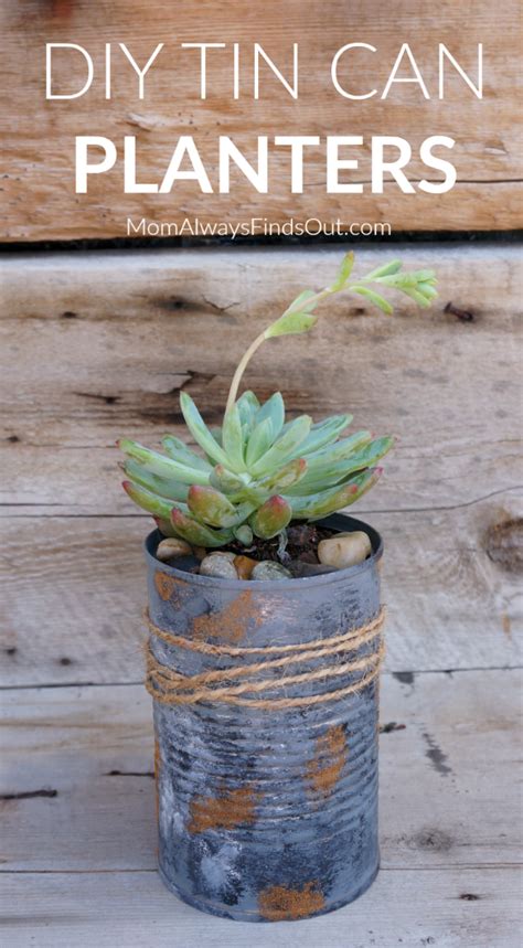 Diy Tin Can Planters Perfect For Succulents Small Plants And Flowers