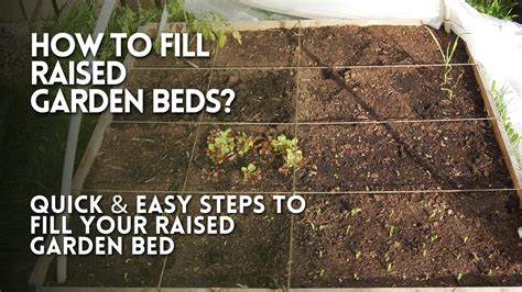 How To Fill Raised Garden Beds 6 Quick And Easy Steps To Fill Your