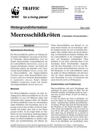 Hintergrundinformation Wwf Arten Az Wwf Deutschland