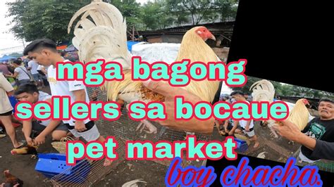 Mga Bagong Sellers Sa Bocaue Pet Market Boy Chacha Youtube