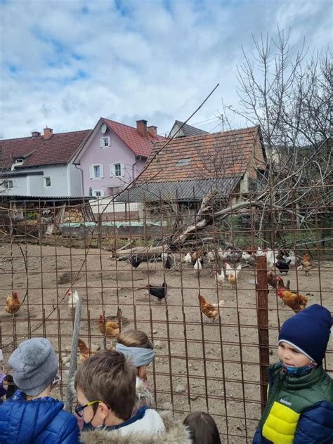 Besuch Am Bauernhof Winkelmayer Volksschule Wartberg