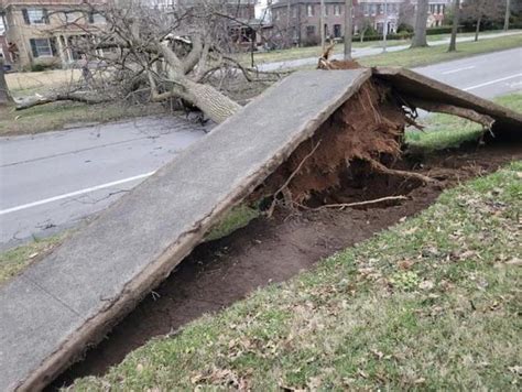 Richmond, Kentucky after severe winds : r/TonyHawkitecture