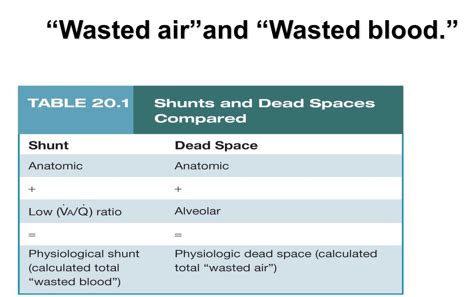 Ventilation Perfusion Inequality And Hypoxemia Flashcards Quizlet