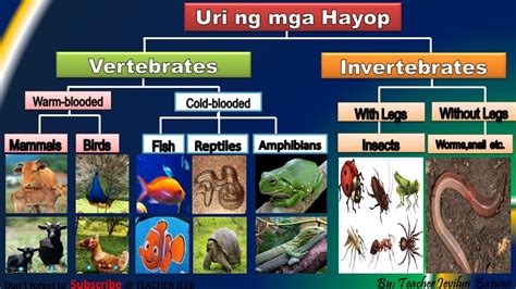 Lahat Ng Uri Ng Hayop