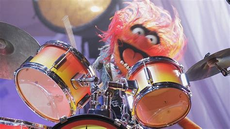 A Brief Interview with Muppets Drummer Animal, Who's Playing Outside Lands | Pitchfork