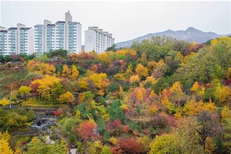 미아동 벽산라이브파크의 실거래가 시세 매물 주변정보 아파트는 호갱노노