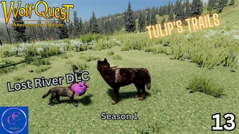 Wolfquest Ae Lost River Dlc Tulip S Trails Season Episode