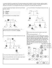 Samantha Bauer More Pedigree Practice With Karyotype Practice Pdf