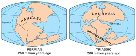 Continental Drift Theory - Geography