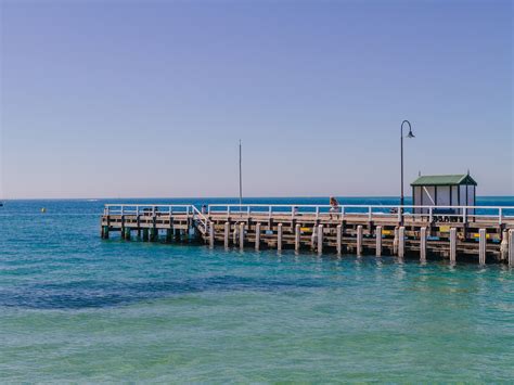 Best Beaches In Melbourne Where To Swim In Melbourne