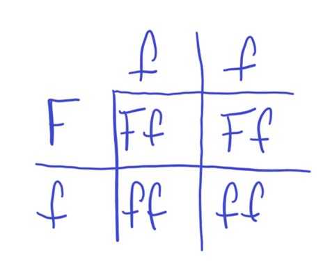 Genetic Diversity Flashcards Quizlet