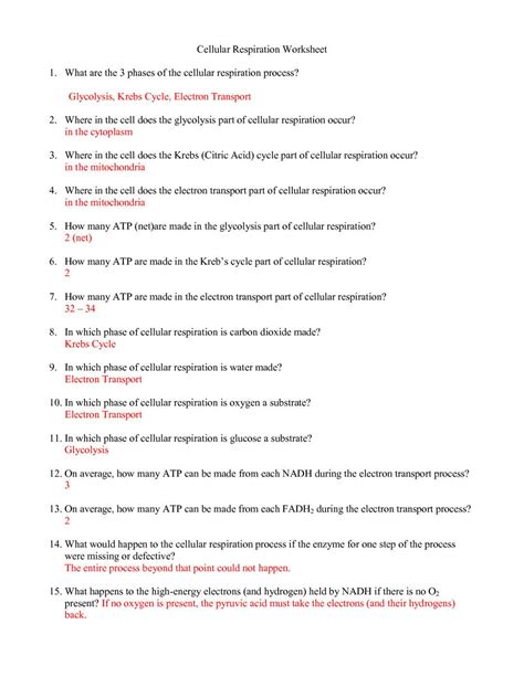 Cellular Respiration Breaking Down Energy Worksheet Yooob — Db