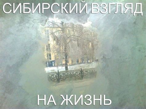 Юмор каждый день! Смейтесь на здоровье! / Писец - приколы интернета