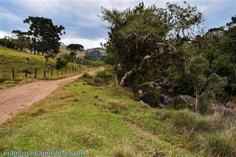 Campos Do Quiriri E Pedra Da Tartaruga Garuva Viagens E Caminhos