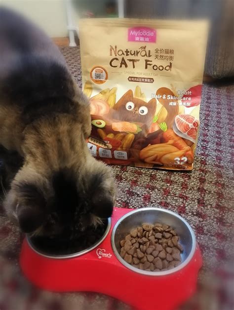 MYFOODIE Natural CAT Food GF Hair Care Сухой корм для кошек уход за ...