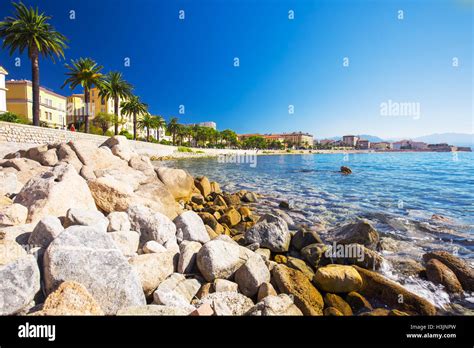 Ajaccio Old City Center Coastal Cityscape With Palm Trees And Typical