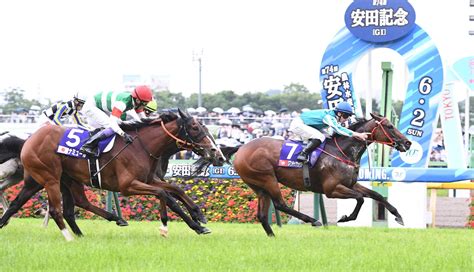 安田記念vから一夜明けのロマンチックウォリアー 宝塚記念は出走せず 競馬ニュース Netkeiba