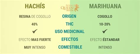 Los diferentes efectos de la hierba y el hachís RQS Blog