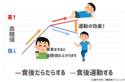 運動をしたいと思っている、そこのあなたへ！【後半】 糖尿病を予防・治療する食事