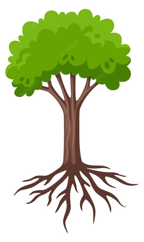 Premium Vector Growing Tree With Root System Cartoon Green Plant