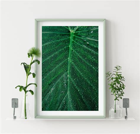 Leaf Print Floral Wall Art Leaf Photography Wall Art Print - Etsy