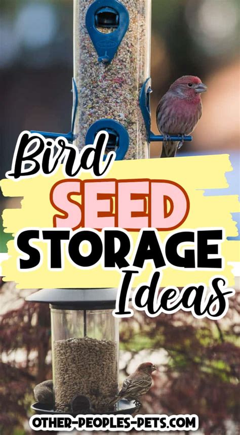 Bird Seed Storage Ideas | Other People's Pets