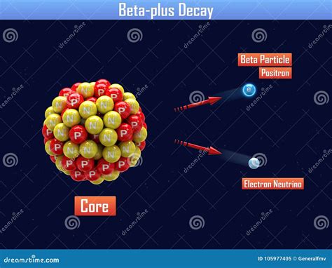 Beta-plus And Beta-minus Decay Vector Illustration | CartoonDealer.com ...