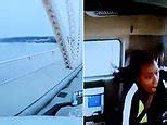 Video Astonishing Moment Female Trucker Plunges Off Bridge Daily