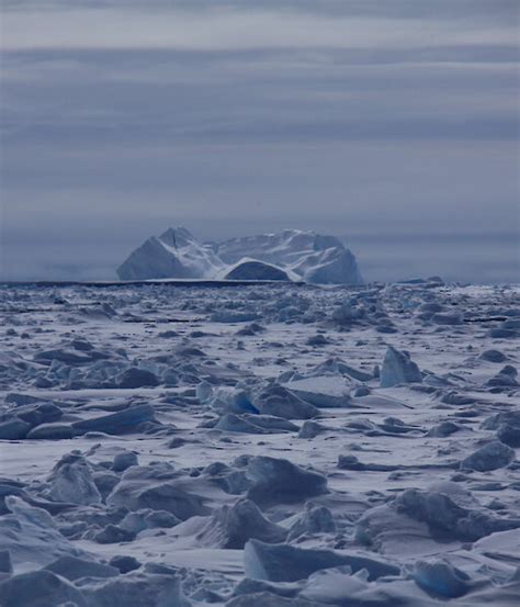 Types Of Fast Ice Australian Antarctic Program