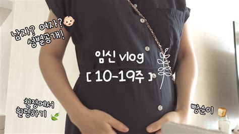 임신vlog 임신10주~19주 봄이 성별공개 🤗 베이비페어 빵순이임산부 🥐 소미랑 친정 힐링🍃 감격의 첫 태동