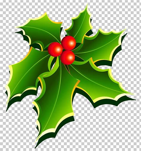 Mistletoe Transparent Background