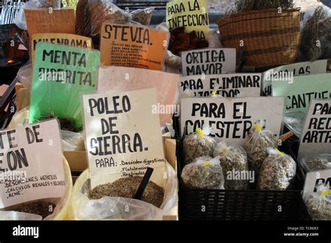 Various Infusions Of Beneficial Medicinal Plants For Health Stock Photo
