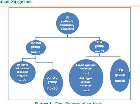 Figure 1 From Impact Of Thoracic Epidural Analgesia On Major Adverse