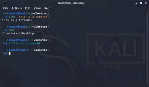 Kali Linux - Terminal - javatpoint