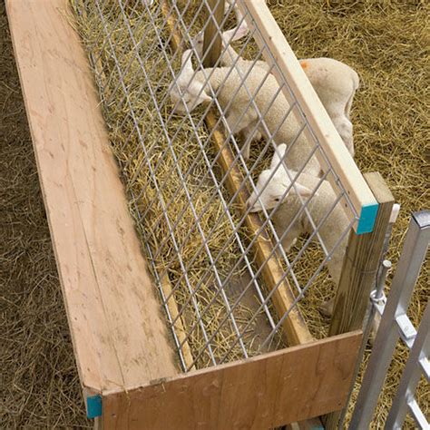 Luxury 35 of How To Build A Sheep Feeder | costshere