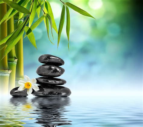 Zen Bamboo Wallpapers - Top Free Zen Bamboo Backgrounds - WallpaperAccess