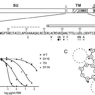 Aslv A Mutations With Reduced Sensitivity To An Hr Peptide A