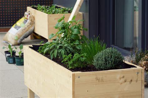 Moestuin Op Het Balkon Bekijk De Mogelijkheden En Geschikte Planten